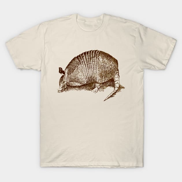 Armadillo T-Shirt by DarlaHallmark